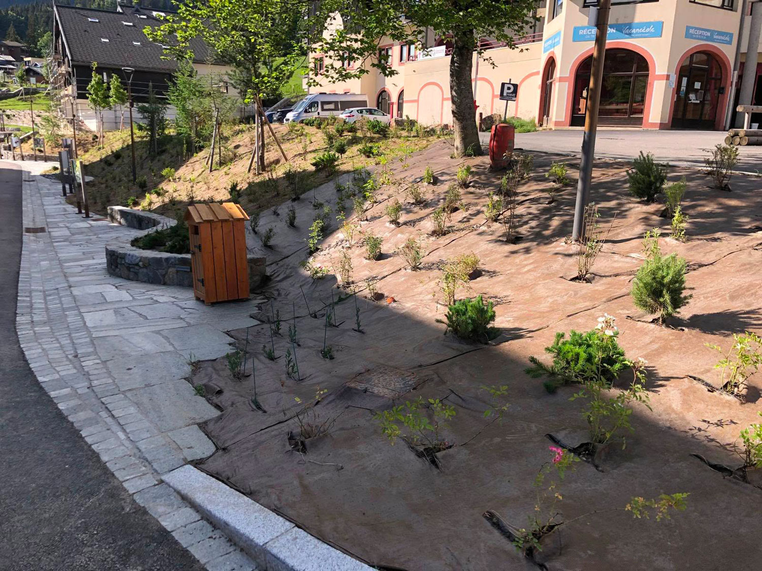Arborisation